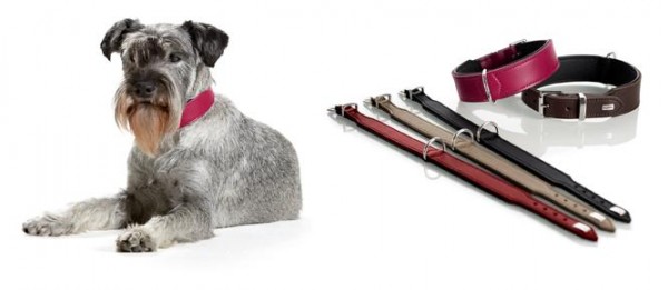 Hunter halsband basic - Unser Vergleichssieger