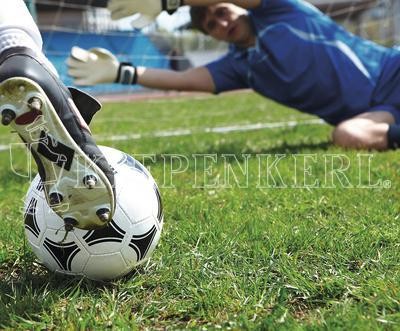 Kiepenkerl RSM 3.2 Profi Sportrasen Regeneration ohne Poa praten