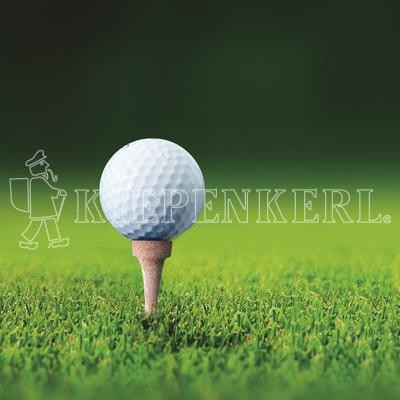 Kiepenkerl RSM 4.3 Golfrasen Abschlag 10kg