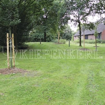 Kiepenkerl RSM 7.2.1 Landschaftsrasen Trockenlagen 10kg