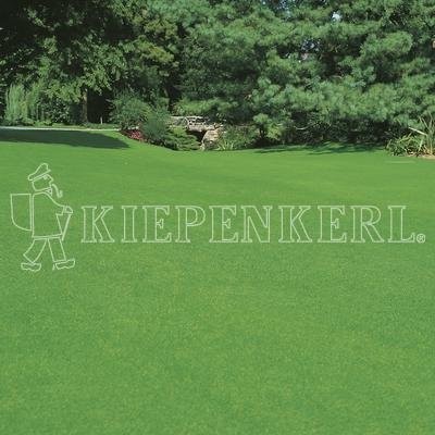 Kiepenkerl RSM 2.2 Gebrauchsrasen Trocken 10kg