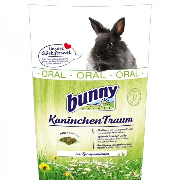 Bunny Kaninchen Traum oral
