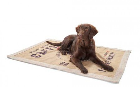 Hunter Hundedecke Brasilia