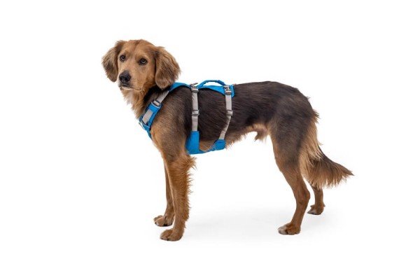 Ruffwear Flagline Harness Blue Dusk