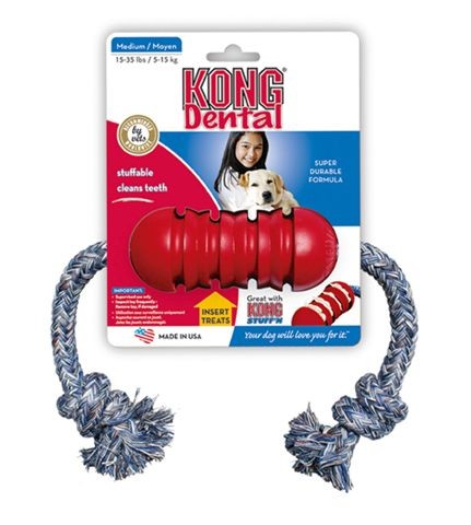 Kong Dental