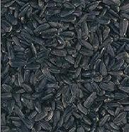Classic Bird Sonnenblumenkerne schwarz 25kg