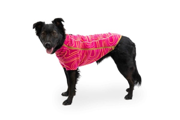 Ruffwear Climate Changer Jacket Strata