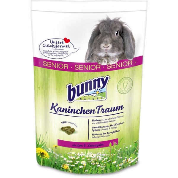 Bunny Kaninchen Traum senior