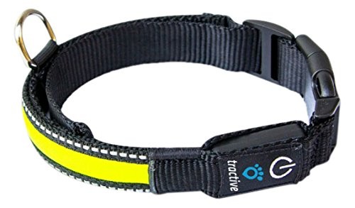TRACTIVE LED Halsband yellow