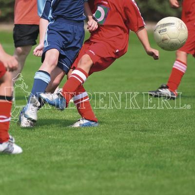Kiepenkerl RSM 3.2 Profi Sportrasen Regeneration mit Poa 10kg