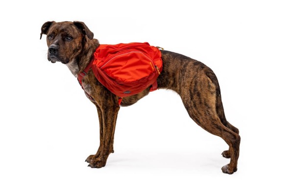 Ruffwear Palisades Pack Red Sumac