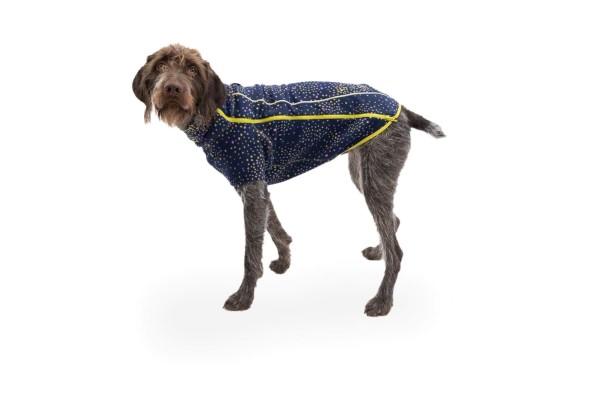 Ruffwear Climate Changer Jacket Galaxy