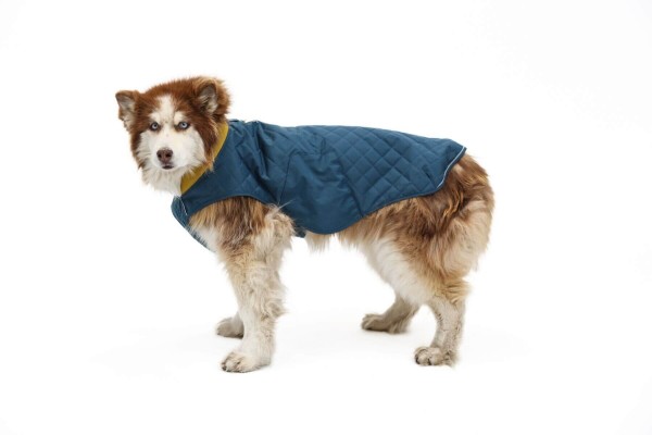 Ruffwear STUMPTOWN™ JACKET Orion Blue