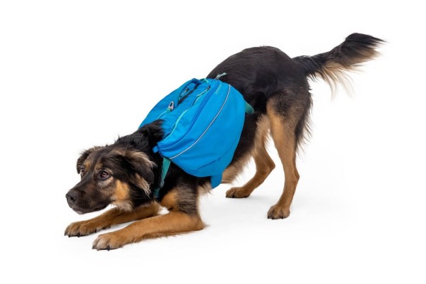 Ruffwear Approach Pack Blue Dusk