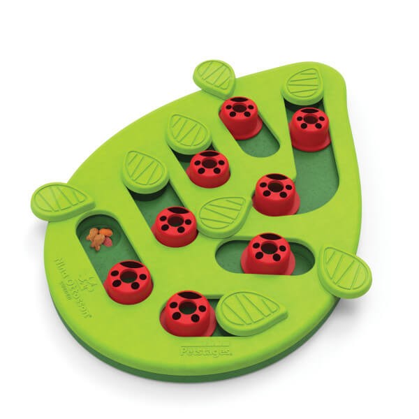 Nina Ottosson Puzzle & Play Buggin Out