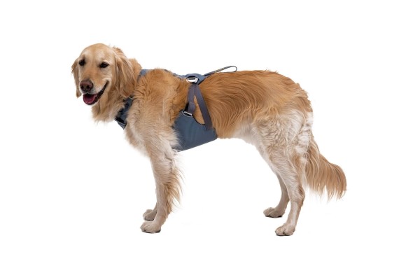 Ruffwear Load Up™ Harness (New Design) Slate Blue