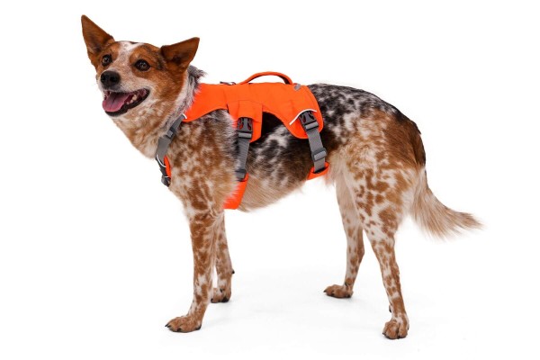 Ruffwear Web Master Harness Blaze Orange