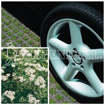 Kiepenkerl RSM 5.1.1 Parkplatzrasen mit 2 % Achillea 10kg
