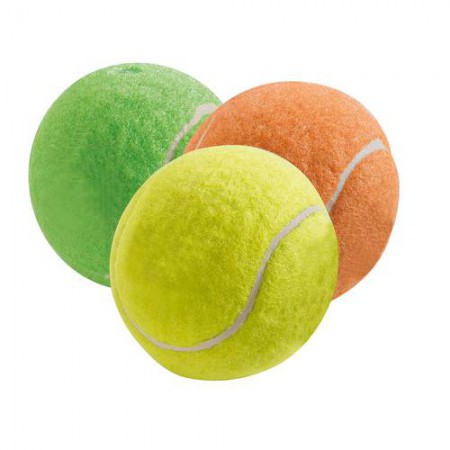 EXPAWLORER Quietschende Tennisbälle Für Hunde – 6er Pack, Bunt, Robustes Spielzeug